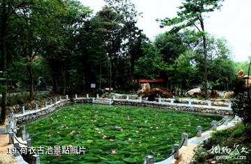 安慶蓮洞國家森林公園-荷衣古池照片