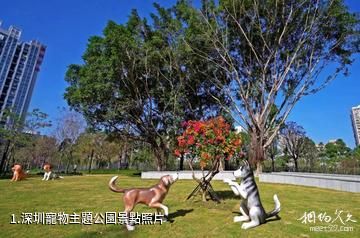 深圳寵物主題公園照片