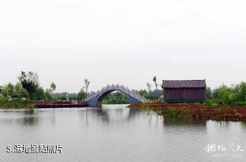 台兒庄運河濕地公園-濕地照片