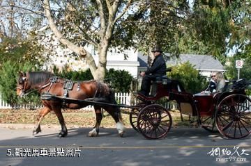 加拿大尼亞加拉湖濱小鎮-觀光馬車照片