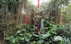 宁波天宫庄园休闲旅游攻略之热带雨林