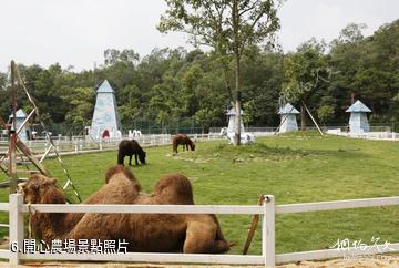 揭陽廣東望天湖生態旅遊度假區-開心農場照片