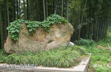 杭州東明山森林公園-古道山房照片