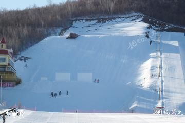 扎兰屯金龙山滑雪场-雪道照片
