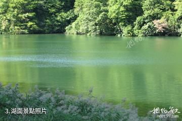 日本白神山地-湖面照片