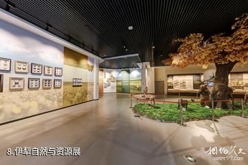 伊犁哈萨克自治州博物馆-伊犁自然与资源展照片