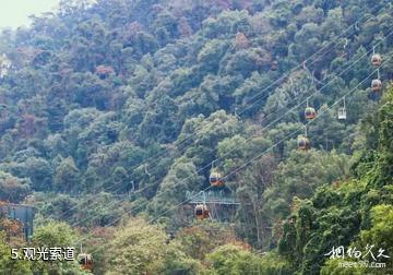 重庆巴南南温泉旅游风景区-观光索道照片