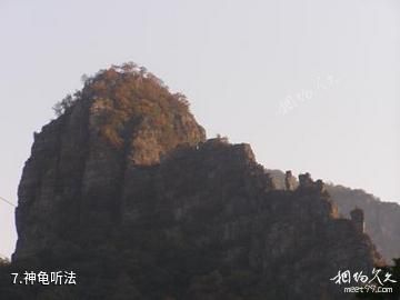 北京灵山-神龟听法照片