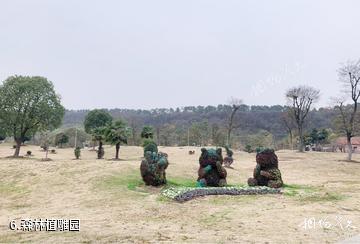 南京平山森林公园-森林植雕园照片