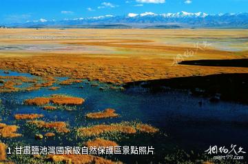 甘肅鹽池灣國家級自然保護區照片