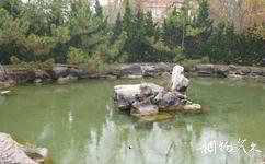 泗水安山寺旅游攻略之放生池
