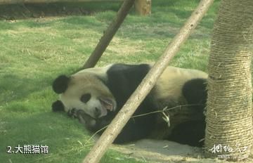 临沂动植物园-大熊猫馆照片