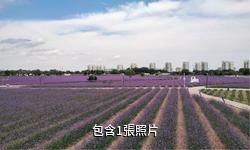金昌紫金花城驢友相冊