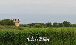 天津濱海茶淀葡萄科技園驢友相冊