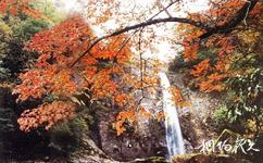 米仓山国家森林公园旅游攻略之龙潭瀑