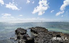 伊利特夫人島海底風光旅遊攻略之礁石