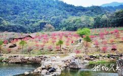 广州从化石门国家森林公园旅游攻略之桃花源