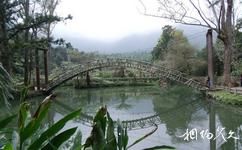 台灣溪頭森林公園（溪頭自然教育園區）旅遊攻略之大學池橋