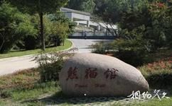 南京紅山森林動物園旅遊攻略之熊貓館