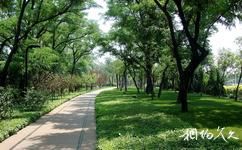 天津綠道公園旅遊攻略之鐵軌步道