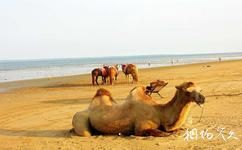 湛江东海岛旅游攻略之沙滩娱乐