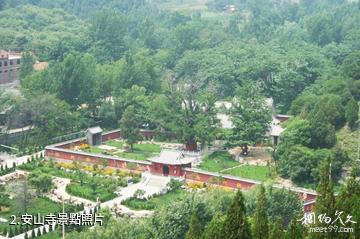 泗水安山寺-安山寺照片