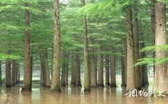 南京老山國家森林公園旅遊攻略之水上森林