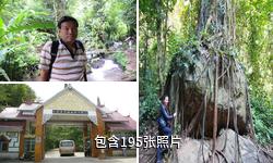 瑞丽莫里热带雨林风景区驴友相册