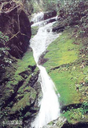 湖北星斗山国家级自然保护区-山泉溪流照片