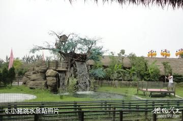 杭州良渚農夫樂園-小豬跳水照片