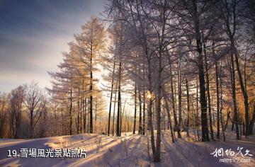 內蒙古阿爾山滑雪場-雪場風光照片