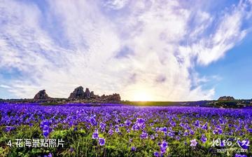 塔城塔爾巴哈台山景區-花海照片
