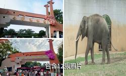 南寧動物園驢友相冊