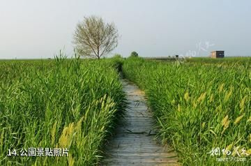 佳木斯富錦國家濕地公園-公園照片