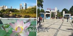 深圳洪湖公园驴友相册