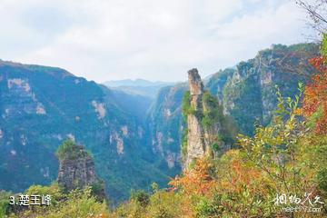 襄阳保康九路寨生态旅游区-楚王峰照片