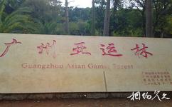 广州大夫山森林公园旅游攻略之广州亚运林