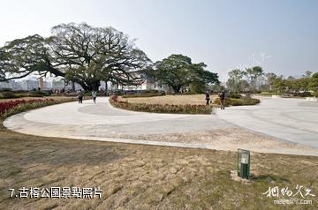 蒙山永安王城-古榕公園照片