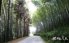 大竹五峰山國家森林公園旅遊攻略之公園