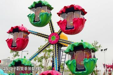 廣西南寧鳳嶺兒童公園-母子觀覽車照片