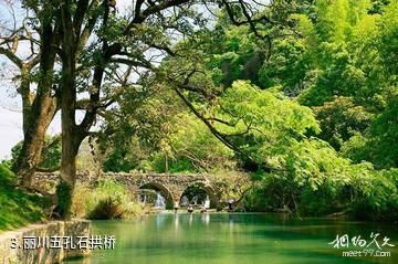 天等丽川文化森林公园-丽川五孔石拱桥照片