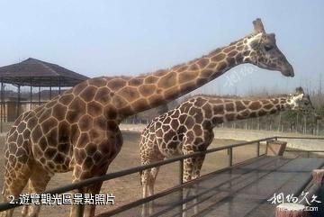 杭州野生動物世界-遊覽觀光區照片