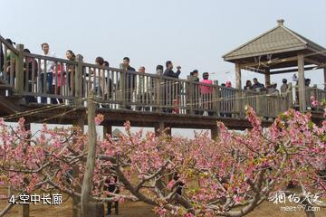 东营黄河入海口生态农业观光园-空中长廊照片