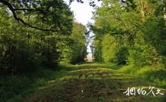 拉脫維亞隆黛爾宮旅遊攻略之森林公園