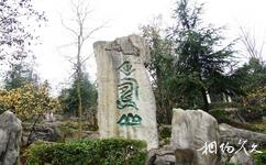 重慶海石公園旅遊攻略之海石公園