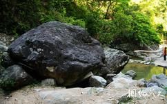 泉州东溪大峡谷旅游攻略之龟石