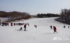 吉林朱雀山國家森林公園旅遊攻略之滑雪場