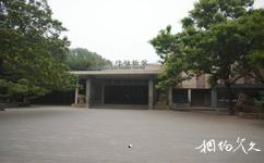 北京动物园旅游攻略之两栖爬行动物馆