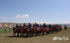 锡林郭勒盟锡日塔拉草原旅游度假村旅游攻略之骑马