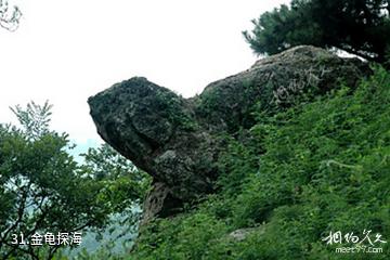 南京金牛湖景区-金龟探海照片